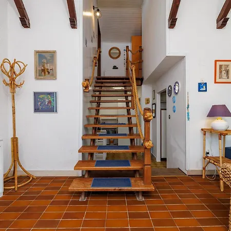 Olive Tree Krk Kornić